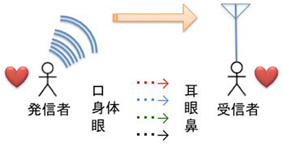 図1　流出システムと波動システム